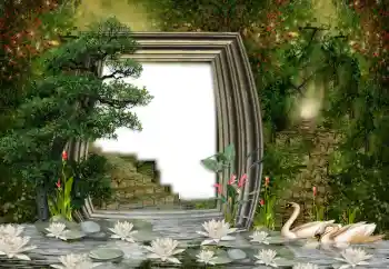 Foto Effekt från kategori Bröllops ramar № 142464