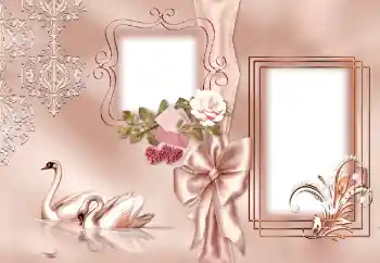 Foto Effekt från kategori Bröllops ramar № 143501