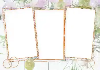 Foto Effekt från kategori Bröllops ramar № 143679