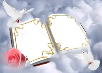 Foto Effekt från kategori Bröllops ramar № 146 Foto Effekt från kategori Bröllops ramar № 146