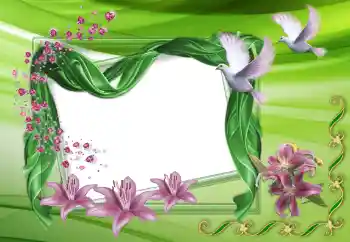 Foto Effekt från kategori Bröllops ramar № 150515