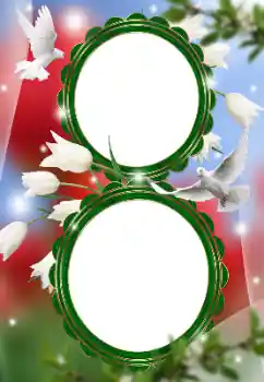 Foto Effekt från kategori Bröllops ramar № 150574