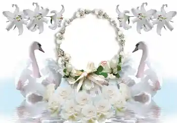 Foto Effekt från kategori Bröllops ramar № 154586