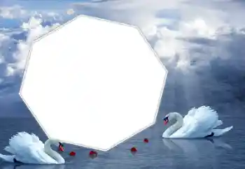 Foto Effekt från kategori Bröllops ramar № 157099