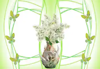 Foto Effekt från kategori Bröllops ramar № 157103