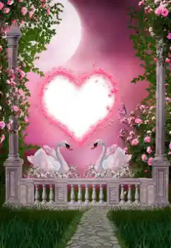 Foto Effekt från kategori Bröllops ramar № 157127