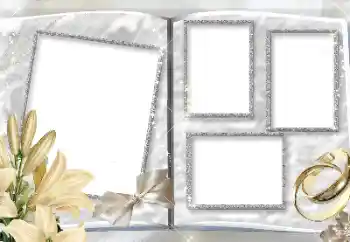 Foto Effekt från kategori Bröllops ramar № 157150