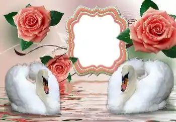 Foto Effekt från kategori Bröllops ramar № 160854