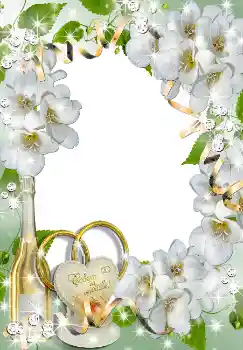 Foto Effekt från kategori Bröllops ramar № 1633 Foto Effekt från kategori Bröllops ramar № 1633
