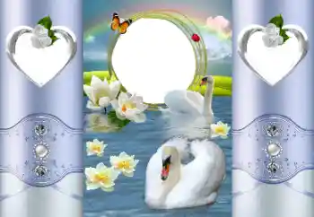 Foto Effekt från kategori Bröllops ramar № 167887