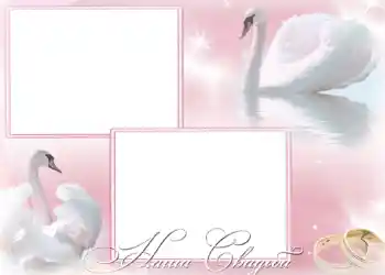 Inskriptionen på ramen: Vårt bröllop Inskriptionen på ramen: Vårt bröllop