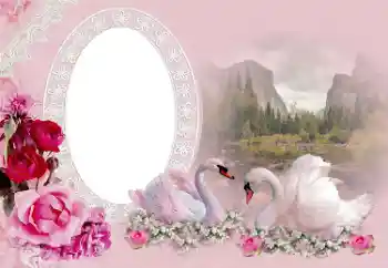 Foto Effekt från kategori Bröllops ramar № 175415