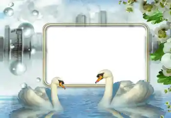 Foto Effekt från kategori Bröllops ramar № 176840