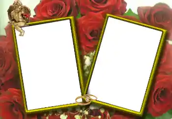 Foto Effekt från kategori Bröllops ramar № 1768 Foto Effekt från kategori Bröllops ramar № 1768