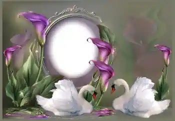 Foto Effekt från kategori Bröllops ramar № 185841