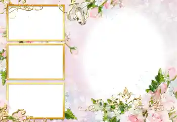 Foto Effekt från kategori Bröllops ramar № 190471