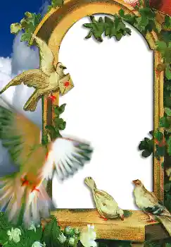 Foto Effekt från kategori Bröllops ramar № 2648 Foto Effekt från kategori Bröllops ramar № 2648