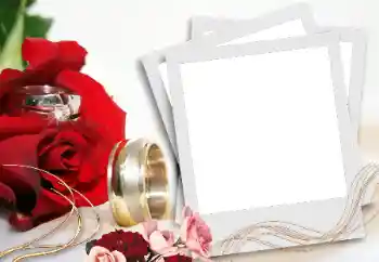 Foto Effekt från kategori Bröllops ramar № 31736 Foto Effekt från kategori Bröllops ramar № 31736
