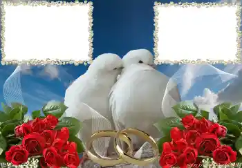 Foto Effekt från kategori Bröllops ramar № 3951 Foto Effekt från kategori Bröllops ramar № 3951