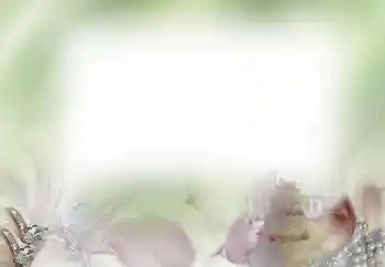 Foto Effekt från kategori Bröllops ramar № 4445 Foto Effekt från kategori Bröllops ramar № 4445