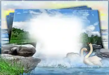 Foto Effekt från kategori Bröllops ramar № 49460 Foto Effekt från kategori Bröllops ramar № 49460