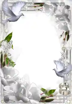 Foto Effekt från kategori Bröllops ramar № 49574 Foto Effekt från kategori Bröllops ramar № 49574