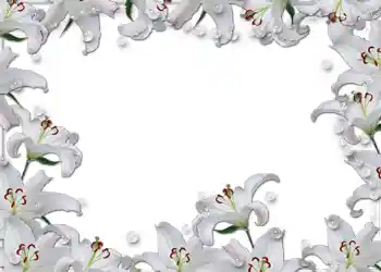 Foto Effekt från kategori Bröllops ramar № 54 Foto Effekt från kategori Bröllops ramar № 54