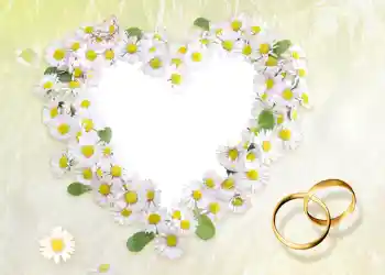 Foto Effekt från kategori Bröllops ramar № 56 Foto Effekt från kategori Bröllops ramar № 56