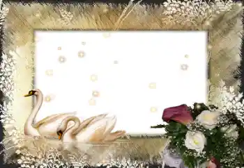 Foto Effekt från kategori Bröllops ramar № 58998 Foto Effekt från kategori Bröllops ramar № 58998