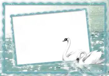 Foto Effekt från kategori Bröllops ramar № 70895 Foto Effekt från kategori Bröllops ramar № 70895