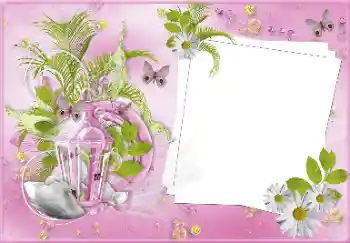 Foto Effekt från kategori Bröllops ramar № 81487 Foto Effekt från kategori Bröllops ramar № 81487