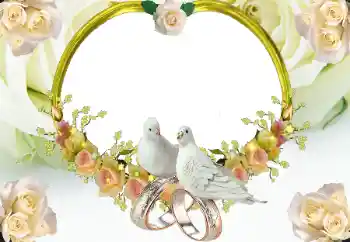 Foto Effekt från kategori Bröllops ramar № 8723 Foto Effekt från kategori Bröllops ramar № 8723