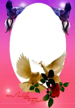 Inskriptionen på ramen: Vårt bröllop Inskriptionen på ramen: Vårt bröllop