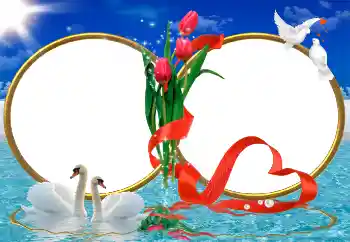 Foto Effekt från kategori Bröllops ramar № 9726 Foto Effekt från kategori Bröllops ramar № 9726