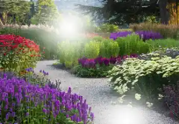 Foto Effekt från kategori Kvinna Fotoramar № 101176 Foto Effekt från kategori Kvinna Fotoramar № 101176