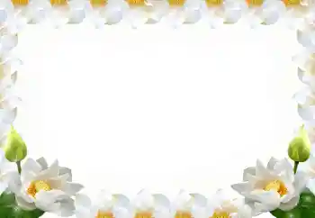 Foto Effekt från kategori Kvinna Fotoramar № 102569 Foto Effekt från kategori Kvinna Fotoramar № 102569