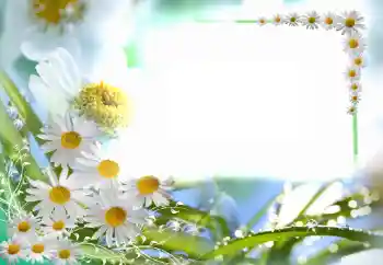 Foto Effekt från kategori Kvinna Fotoramar № 102749 Foto Effekt från kategori Kvinna Fotoramar № 102749