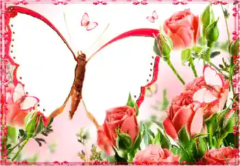 Foto Effekt från kategori Kvinna Fotoramar № 103883 Foto Effekt från kategori Kvinna Fotoramar № 103883