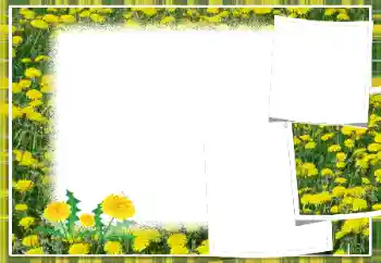 Foto Effekt från kategori Kvinna Fotoramar № 103949 Foto Effekt från kategori Kvinna Fotoramar № 103949