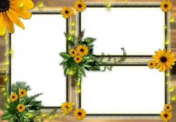 Foto Effekt från kategori Kvinna Fotoramar № 104030 Foto Effekt från kategori Kvinna Fotoramar № 104030