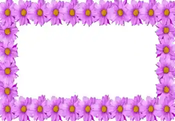 Foto Effekt från kategori Kvinna Fotoramar № 105414 Foto Effekt från kategori Kvinna Fotoramar № 105414