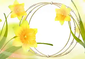 Foto Effekt från kategori Kvinna Fotoramar № 105478 Foto Effekt från kategori Kvinna Fotoramar № 105478