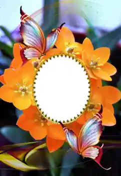 Foto Effekt från kategori Kvinna Fotoramar № 105575 Foto Effekt från kategori Kvinna Fotoramar № 105575