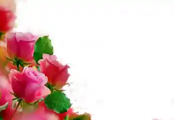 Foto Effekt från kategori Kvinna Fotoramar № 112139 Foto Effekt från kategori Kvinna Fotoramar № 112139