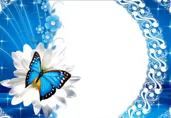 Foto Effekt från kategori Kvinna Fotoramar № 112249 Foto Effekt från kategori Kvinna Fotoramar № 112249