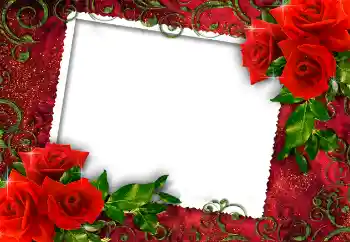 Foto Effekt från kategori Kvinna Fotoramar № 112252 Foto Effekt från kategori Kvinna Fotoramar № 112252