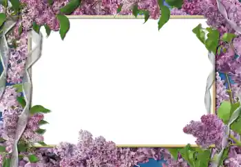 Foto Effekt från kategori Kvinna Fotoramar № 112261 Foto Effekt från kategori Kvinna Fotoramar № 112261