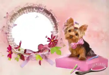 Foto Effekt från kategori Kvinna Fotoramar № 112337 Foto Effekt från kategori Kvinna Fotoramar № 112337