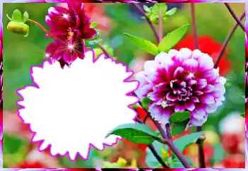 Foto Effekt från kategori Kvinna Fotoramar № 112519 Foto Effekt från kategori Kvinna Fotoramar № 112519