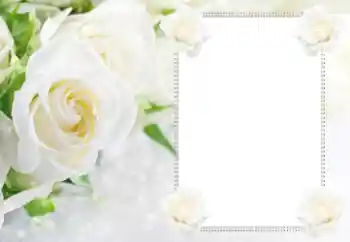 Foto Effekt från kategori Kvinna Fotoramar № 112529 Foto Effekt från kategori Kvinna Fotoramar № 112529